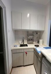 1 Canberra (D27), Condominium #537889551